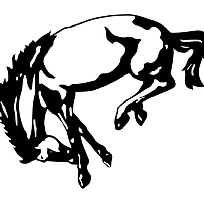 Bronco